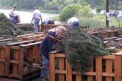 Hinckston Fish Habitat (1)_jpg