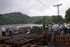 Hinckston Fish Habitat (26)_jpg