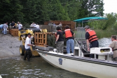 Hinckston Fish Habitat (40)_jpg