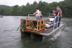 Hinckston Fish Habitat (55)_jpg