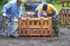 Hinckston Fish Habitat (56)_jpg