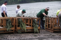 Hinckston Fish Habitat (64)_jpg