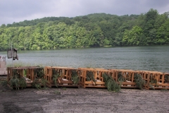 Hinckston Fish Habitat (81)_jpg