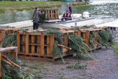 Wilmore Fish Habitat (49)_jpg