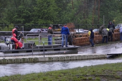 Wilmore Fish Habitat (4)_jpg